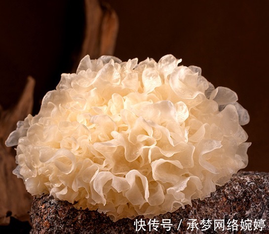 银耳|上海一女子，坚持每天吃银耳养颜，连吃几天后，皮肤怎么样了？