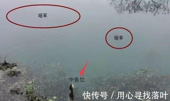 打隔夜窝也不能保证上鱼!钓位、窝料你都算准了吗!