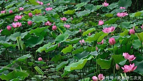 天蝎座|遇事清醒，不会耍赖，很讲道理的三大星座