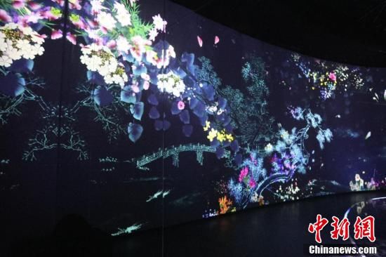 中国花博会|裸眼3D、全息影像沉浸式体验不一样的花博盛会