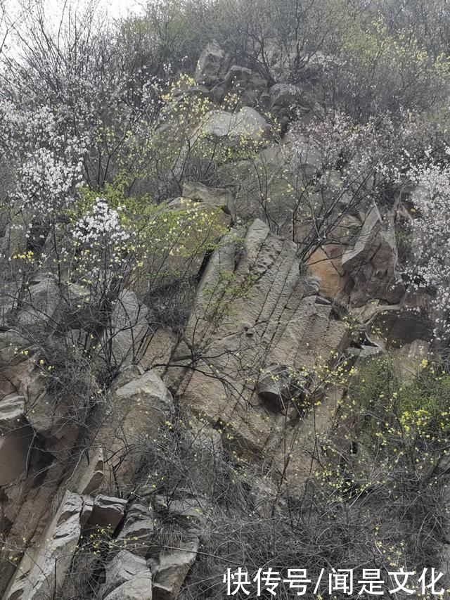 祁河散文:桃花依旧笑春风