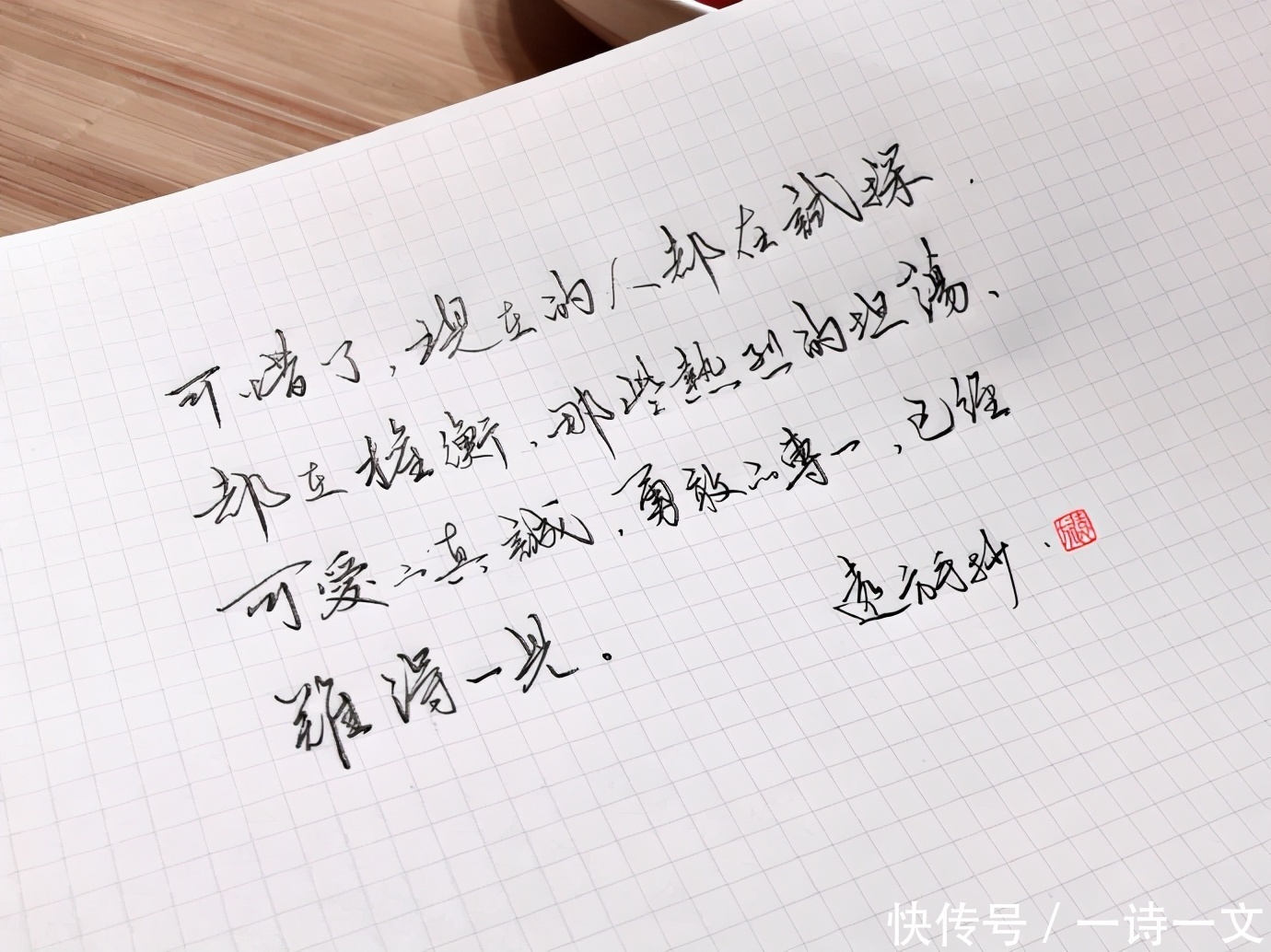 羊群|既然人类微渺得如同一只蜉蝣,那么人生须臾,不如绽放