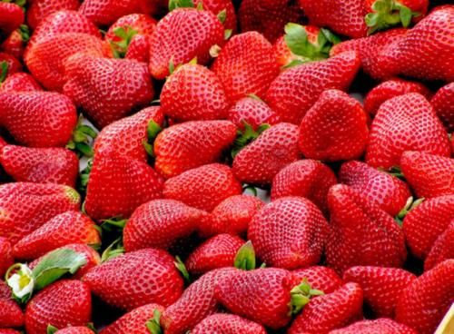 食物|女性适合常吃三种食物，脸要穷养、身要娇养，好处多多