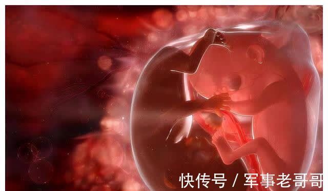 尿液|怀胎十月,胎儿的排泄物都去哪了?看完整个人都不好了