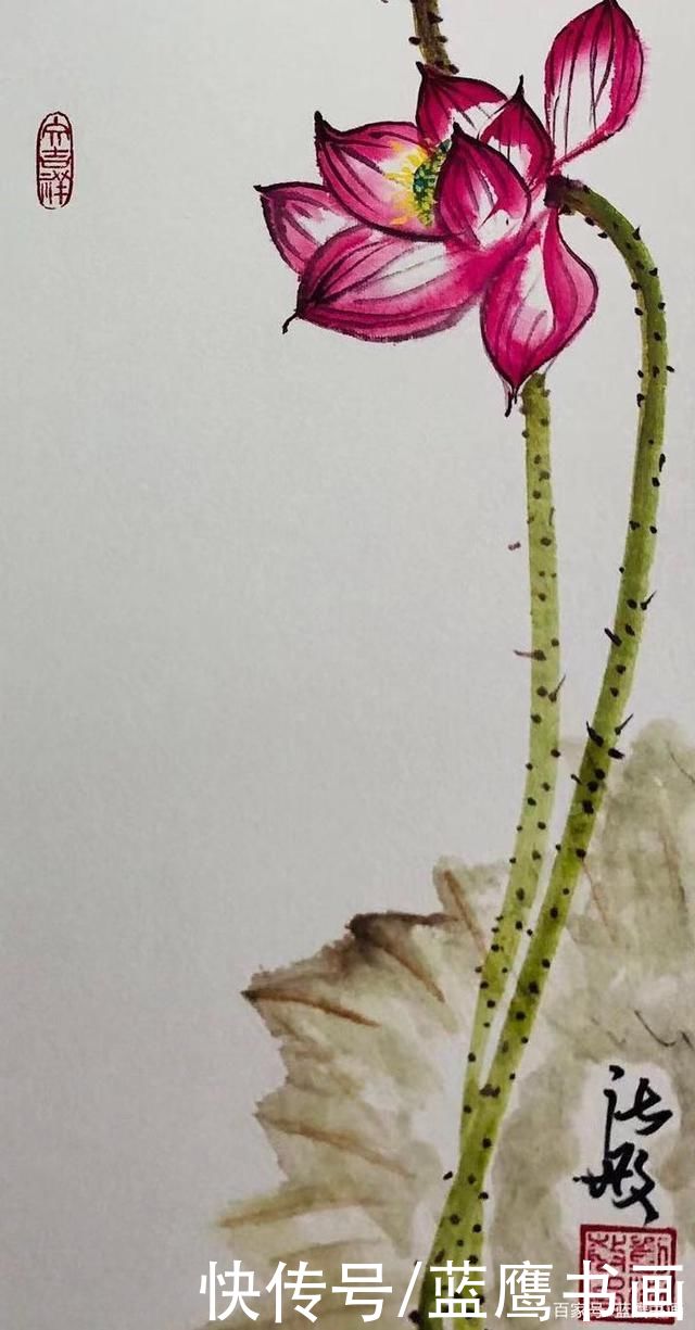 荷香|柳柳作品:荷香满塘