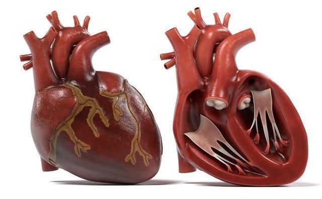 65歲老漢，高血脂回歸正常，心內(nèi)科主任：他的做法，值得借鑒