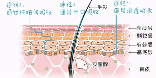 护肤品，最好不要整套买！牢记这一点，你的皮肤会越来越好！