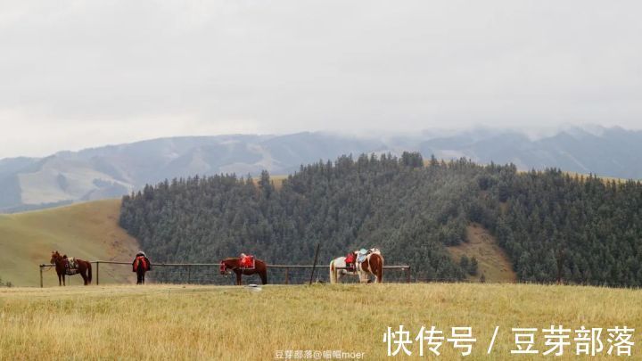 肃南|这条西北自驾路线，沿路都是世界级的美景，去过不枉此生！