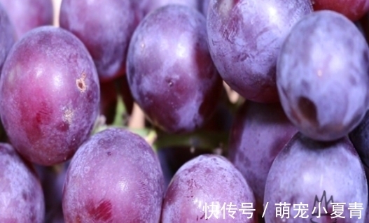 葡萄只用盐和面粉洗，相当于吃虫卵，教你一招，虫卵农药全跑光
