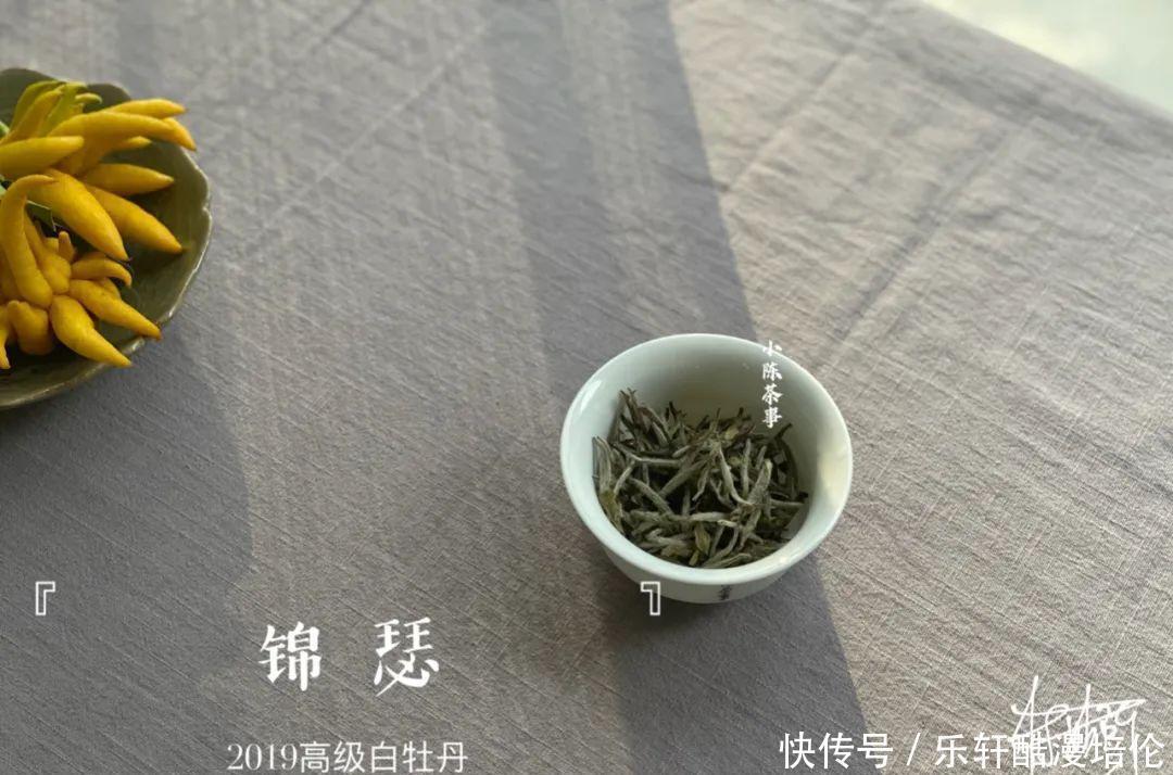 牡丹王|新的一年，白茶中的牡丹王和一级白牡丹，竟然转化得像白毫银针了