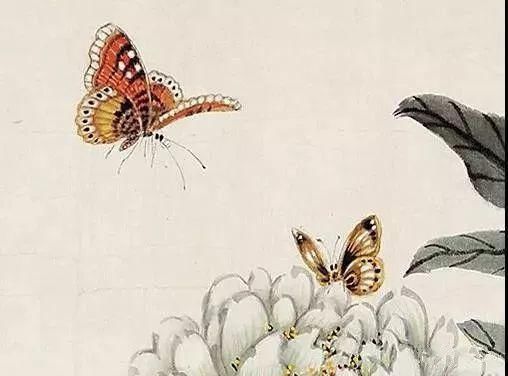俞致贞|收藏!国画蝴蝶纸上来感觉蝴蝶在动,太逼真了!