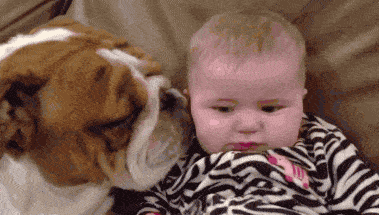 |搞笑GIF趣图:这都不分手,那就是真爱了