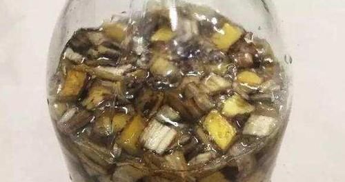 植物|养花不用买营养液,准备好香蕉皮,盆栽植物叶子不泛黄