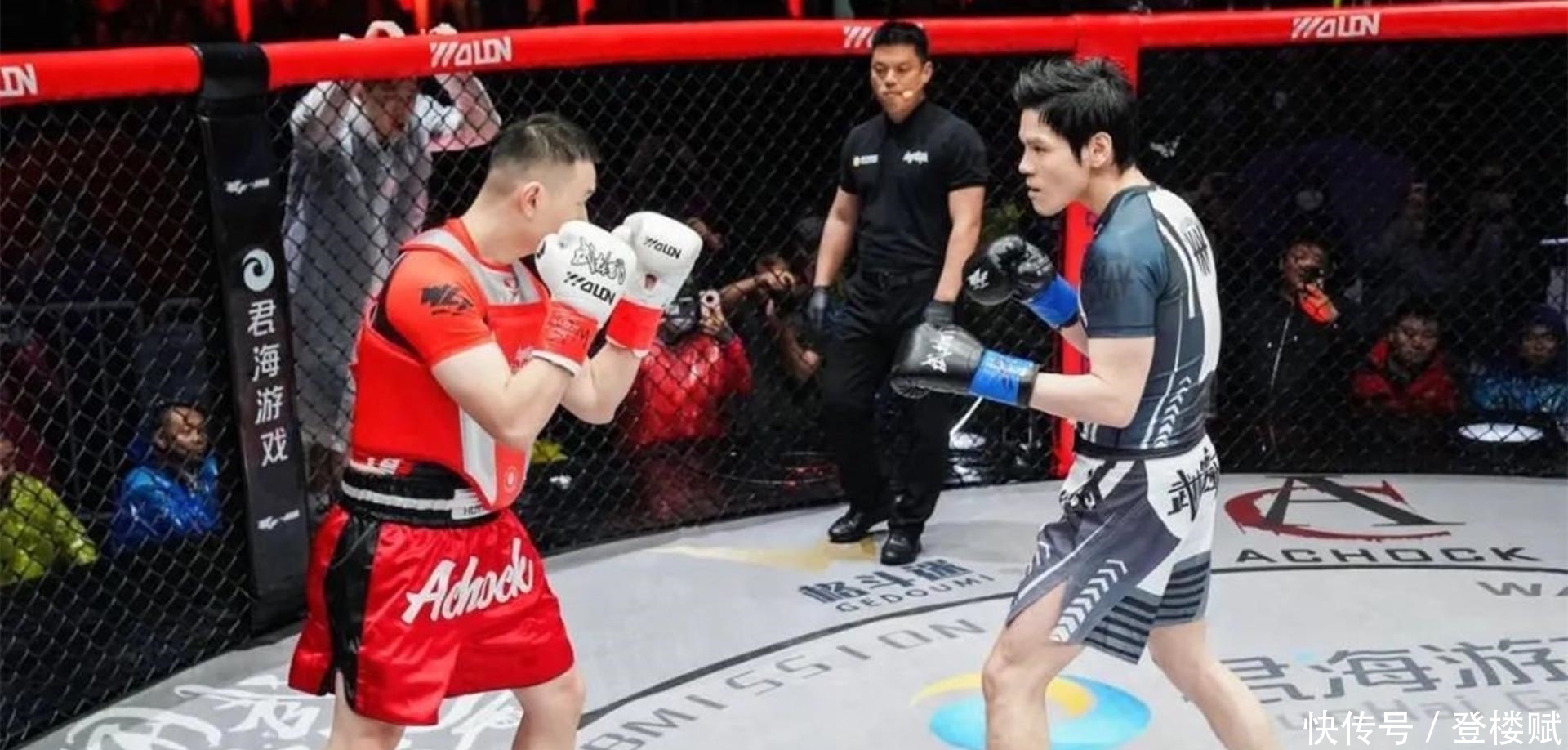 舆论 向佐真打不过药水哥,舆论炮轰打加赛,他其实就是一个跳梁小丑