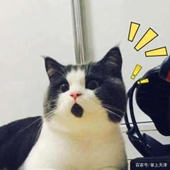 ti再见了！天津百货大楼将被拍卖，起拍价2.65587亿元！