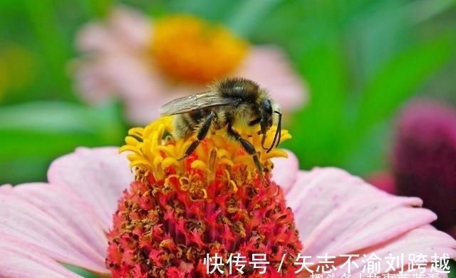 月老|两周内，月老赐缘，心心念念，前任挽留，徒劳无功，恩爱到白头