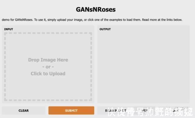 解码器|华人打造二次元老婆生成器!尔康容嬷嬷成萌妹,图像视频都能变