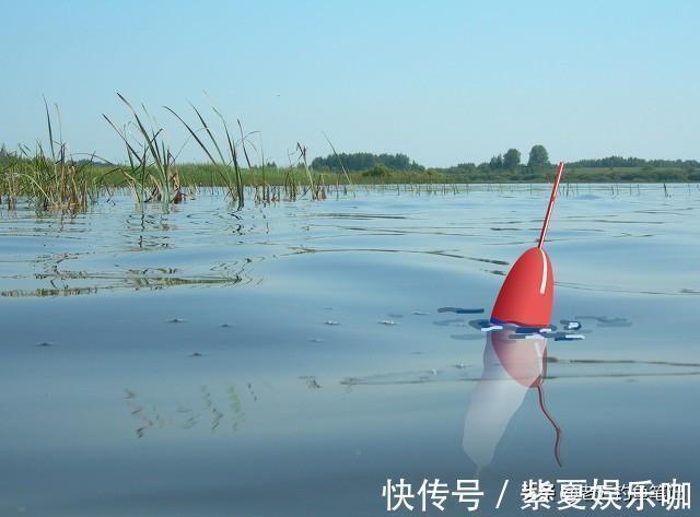 高手|不想动别人的奶酪，钓鲢鳙真的太简单了，会钓鲢鳙不一定就是高手