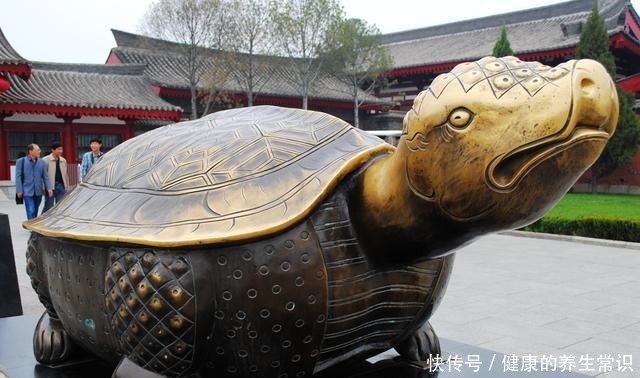 武则天|为什么耗资巨大的新法门寺，游客不喜欢去，更喜欢逛老法门寺呢！