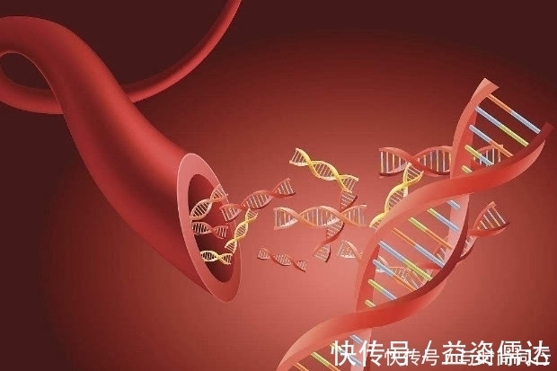 食物|高血脂和脑梗是同伙?坚持吃这几样食物,不给脑梗“留机会”