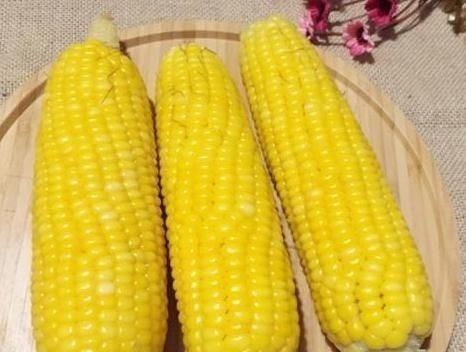 中老年人|每天吃1节玉米,坚持2周,3个好处收入囊中,后悔没早点吃!