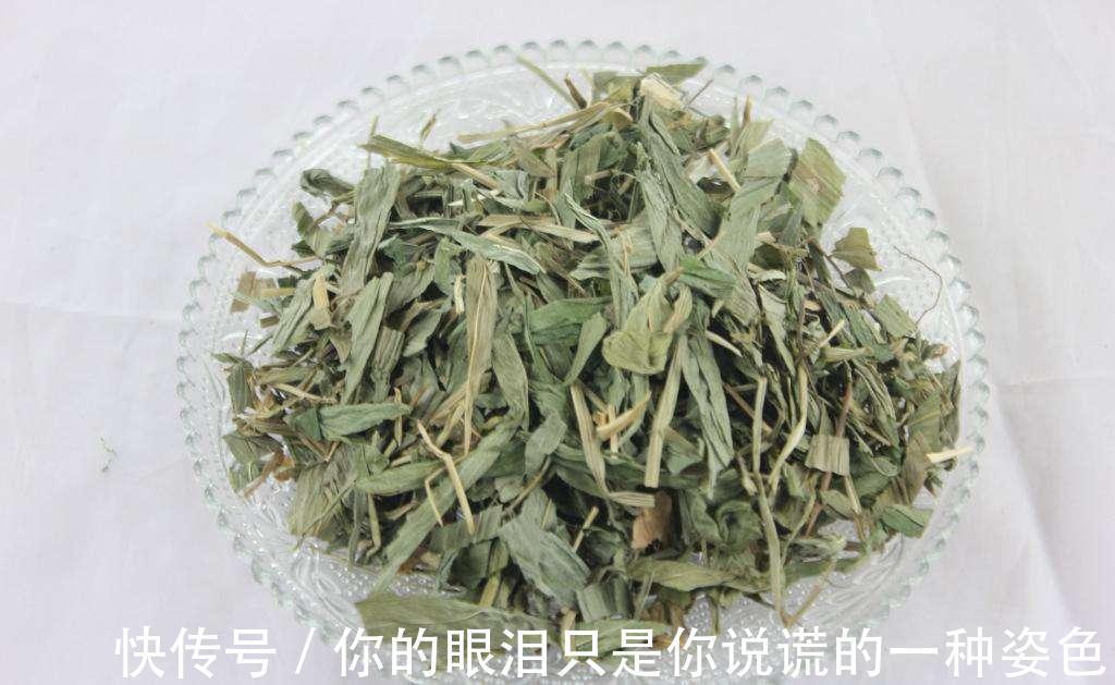 淡竹叶|山里一种似竹叶的野草,过去用来喂猪,殊不知价值很高30元一斤