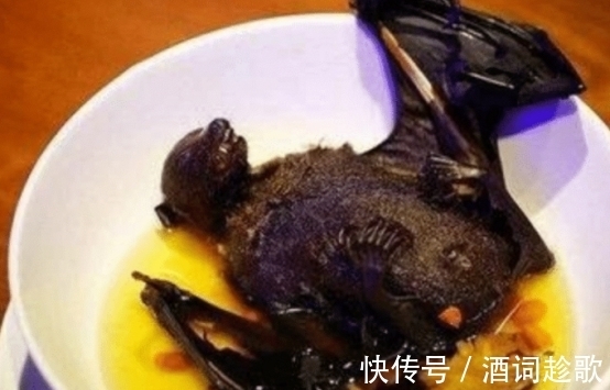蝙蝠肉能吃嗎？其實貝爺在十一年前就告訴我們了，一起來看看吧