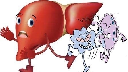 食物|肝病大夫:乙肝患者坚持“3吃2不吃”,肝会“感激你”!