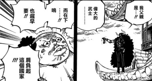 大长腿|四皇的变化凯多不再是长腿欧巴,大妈也曾是青春靓丽的少女