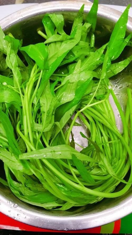 通便|通便就吃这菜,一斤1块5,每晚吃一点,排空黑宿便,瘦出小蛮腰