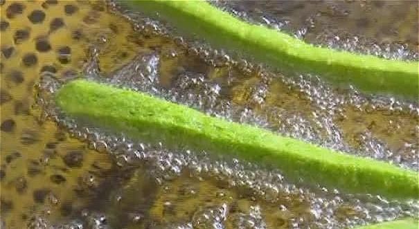 和面|5块钱1根的油条,到底怎么做大厨多加3克它,简单5步就搞定