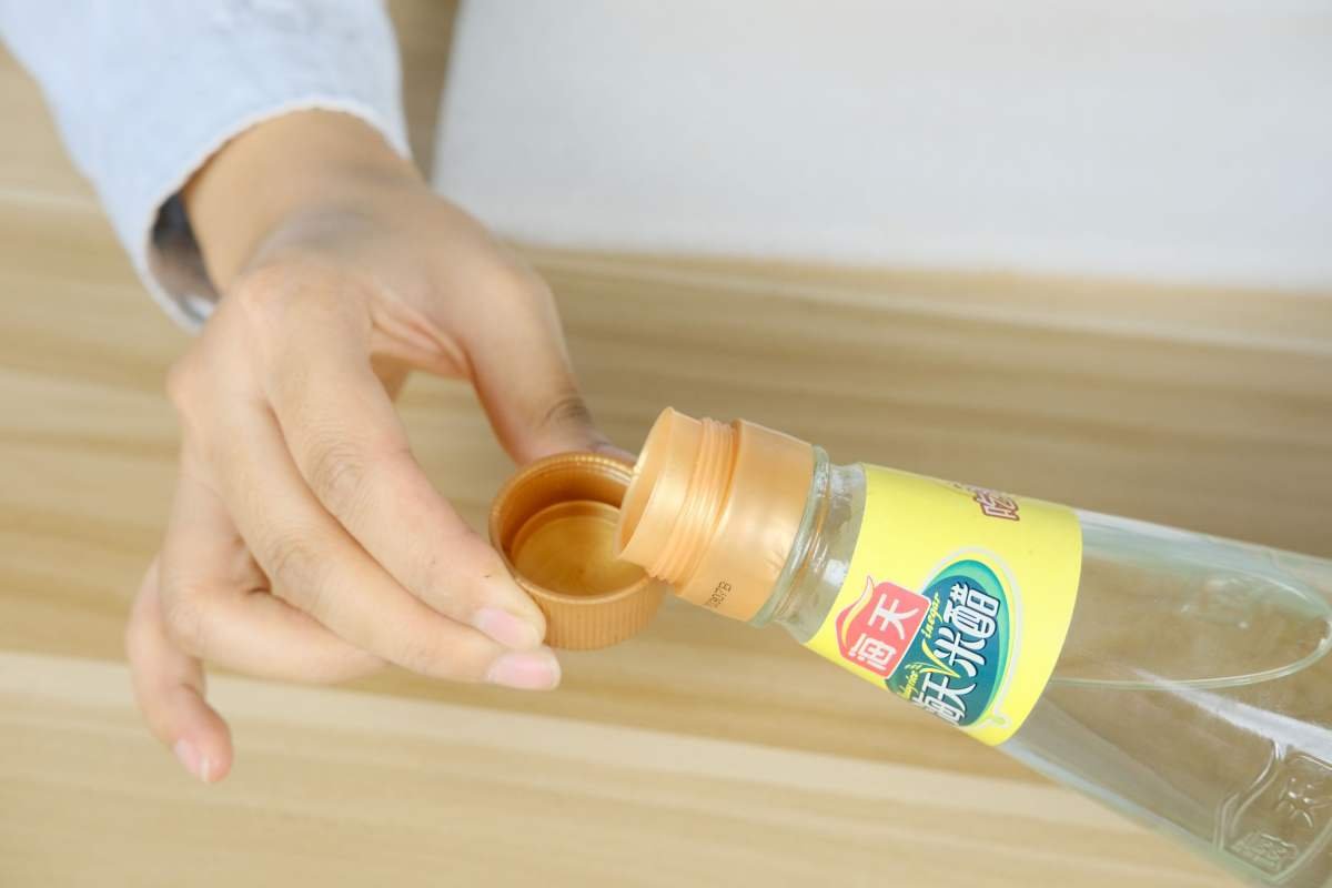 自制扦插＂生根水＂，操作简单超实用，7天长出大白根