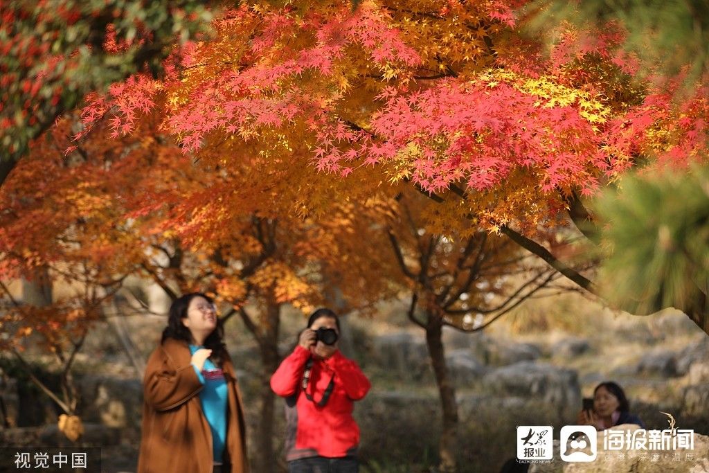 初冬|图看日照｜日照初冬景色如画