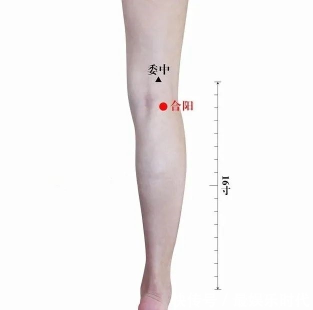 膀胱經絡不疏通,養生全白費!4個方法打通它,身體輕松一整年!