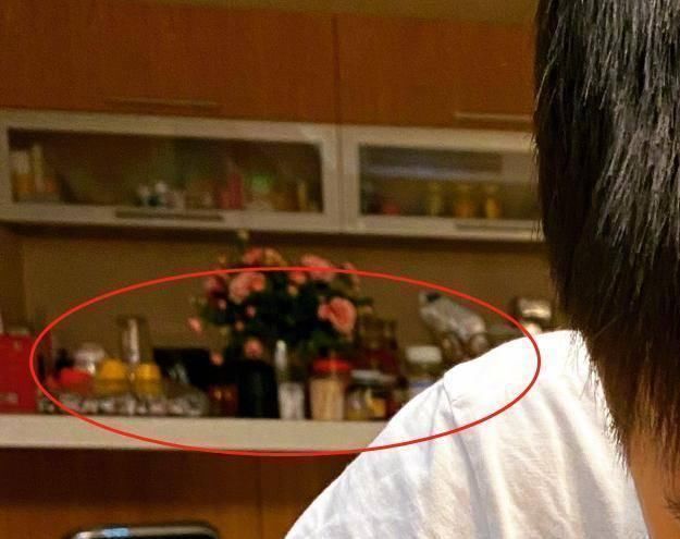 杨子|黄圣依在家亲身为孩子做果冻,儿子馋出可爱表情包,豪宅别墅一角曝光