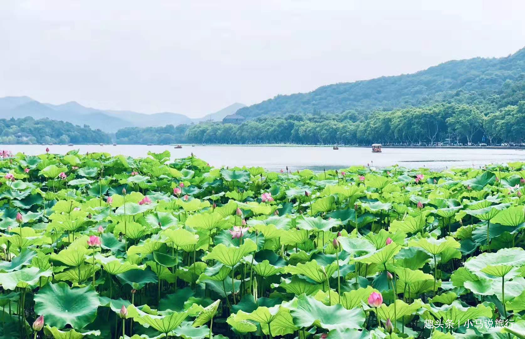 寺院|杭州最小众景点都在这3个地方，景色不亚于西湖，来过的游客不多