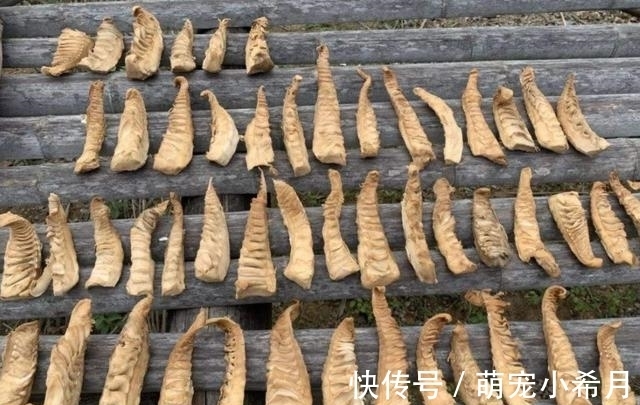 有5种蔬菜晒干后更美味！农村人拿来炖肉，城里人争先恐后去品尝