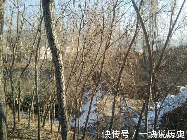忻州|忻州五台县某房地产建筑垃圾倾倒致国有森林公园被曝光
