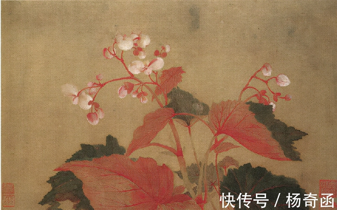 欣赏!恽寿平花卉图欣赏:一张作品3500万,无骨画法让鲜花娇艳欲滴