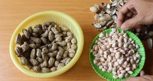 一大|买来的花生米直接撒花盆里养,没过一周就长满一大盆,要不要吃掉