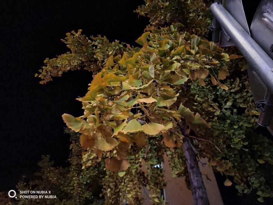 努比亚|实现全面屏的另一个方向 努比亚X全面评测