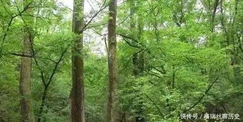 吕后|薄姬娘娘的不朽传奇