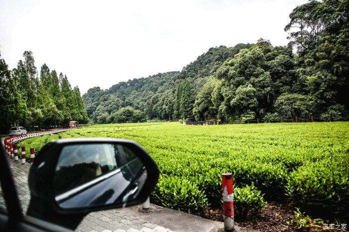 豪越|约”豪“友”越山河，浙江漫游记——问茶篇