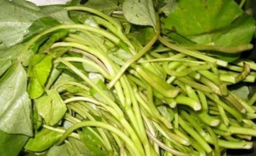 有益健康|很有营养的三种食物，处暑节气值得吃一些，排毒养颜，有益健康！