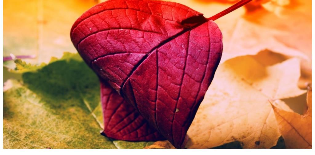 治愈放松很重要，细心点充分能发现自己的方式