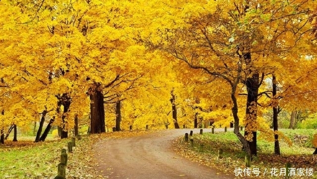 苏州太湖西山岛|苏州人的宝岛秘境,美成仙境,却被时光遗忘!