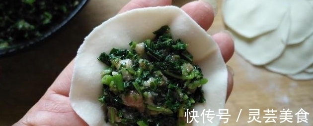 饺子馅|含钙量是菠菜的三倍，做饺子馅特别香，一口一个停不下来