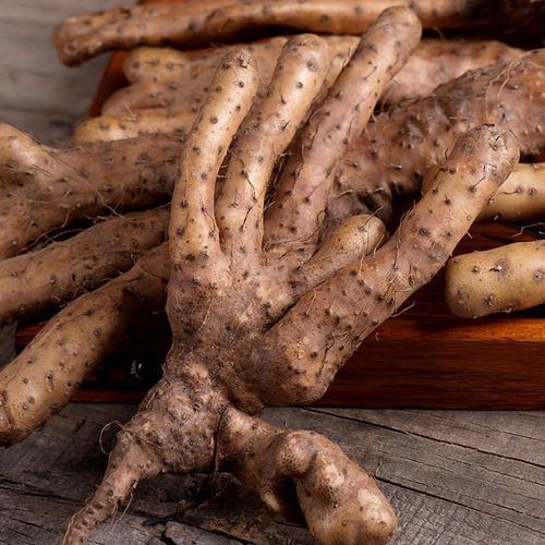 肺气|补气是“提高免疫力”最快方法,一味中药补肺气、补脾气、补肾气