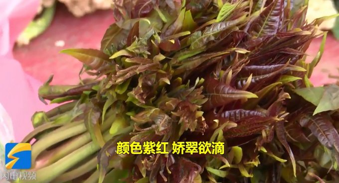 一盘香椿炒蛋下肚“险丧命”！吃这种时鲜菜，中疾控专家特别提醒