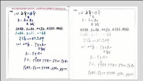 针尖|高中生自创“针尖”字体，容嬷嬷看后都佩服，老师却说高考吃大亏